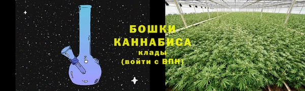 амф Вяземский