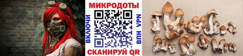 продажа наркотиков  Эртиль  Псилоцибиновые грибы GOLDEN TEACHER 